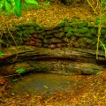 25112013Chapada00011